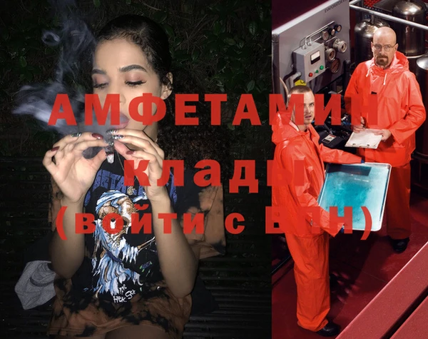 apvp Алзамай