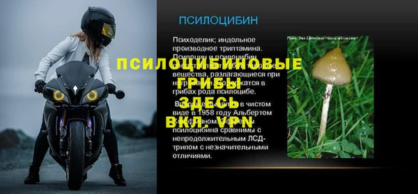 apvp Алзамай