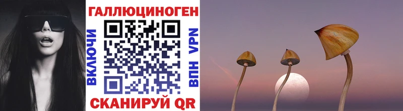Галлюциногенные грибы прущие грибы  купить   Киреевск 
